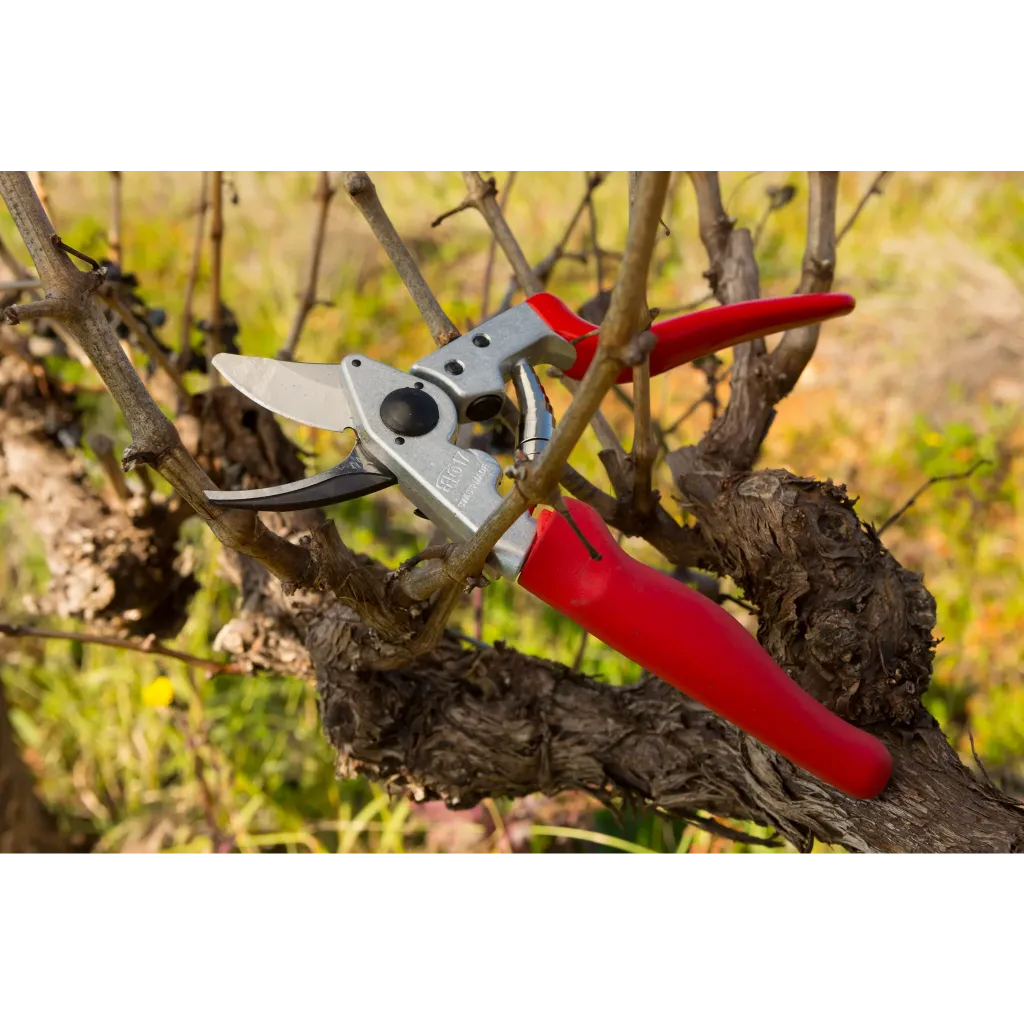 Square_packshots_PNG-FELCO-17-VITICULTURE-2016_0490-jpg.webp