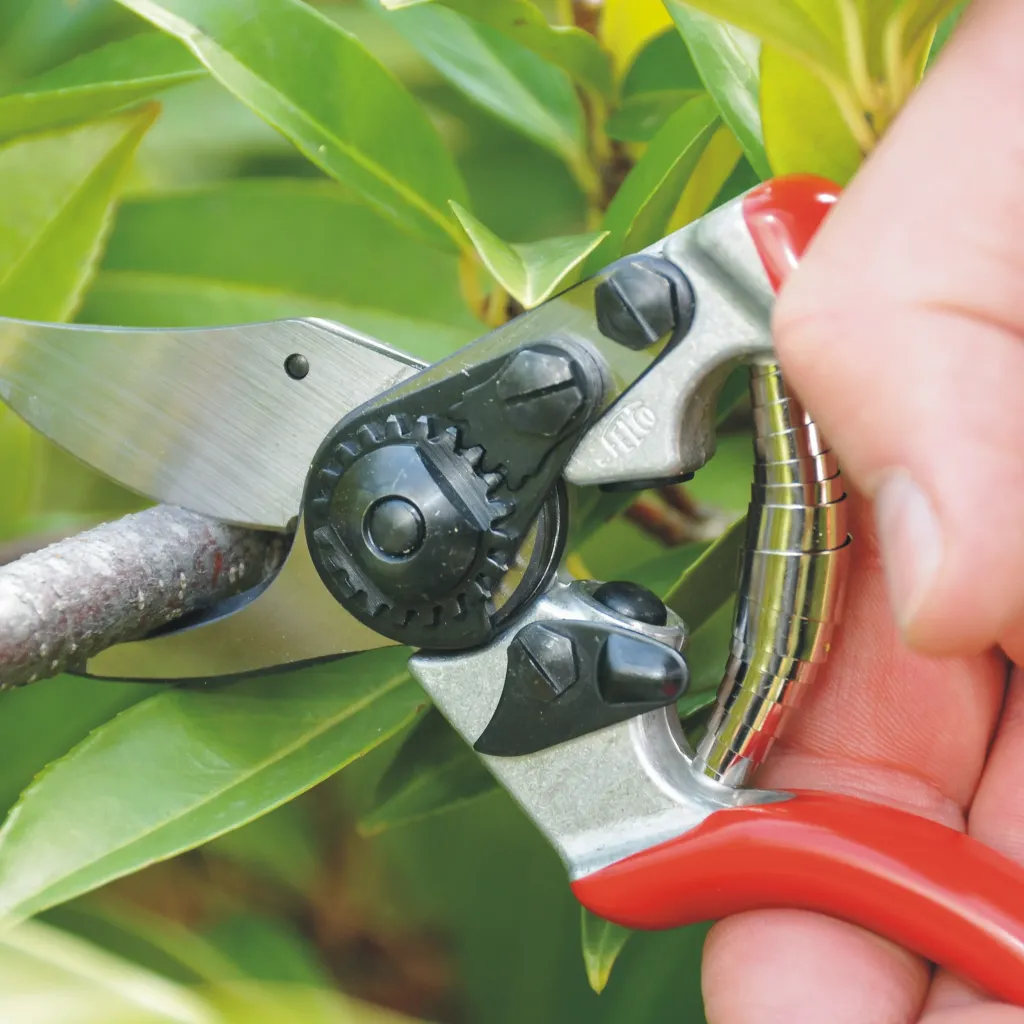 Square_in_use_PNG-FELCO-6-PARKS-AND-GARDENS-2011-DSC_4960-jpg_465bf9f3-66f7-4f6d-9d28-b2fa05f56953.webp