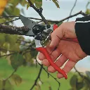 Square_in_use_PNG-FELCO-8-ARBORICULTURE-2011-DSC_4775-jpg.webp