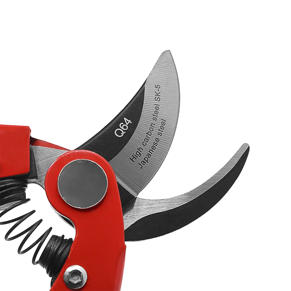 Q64-5-1000px-1.webp