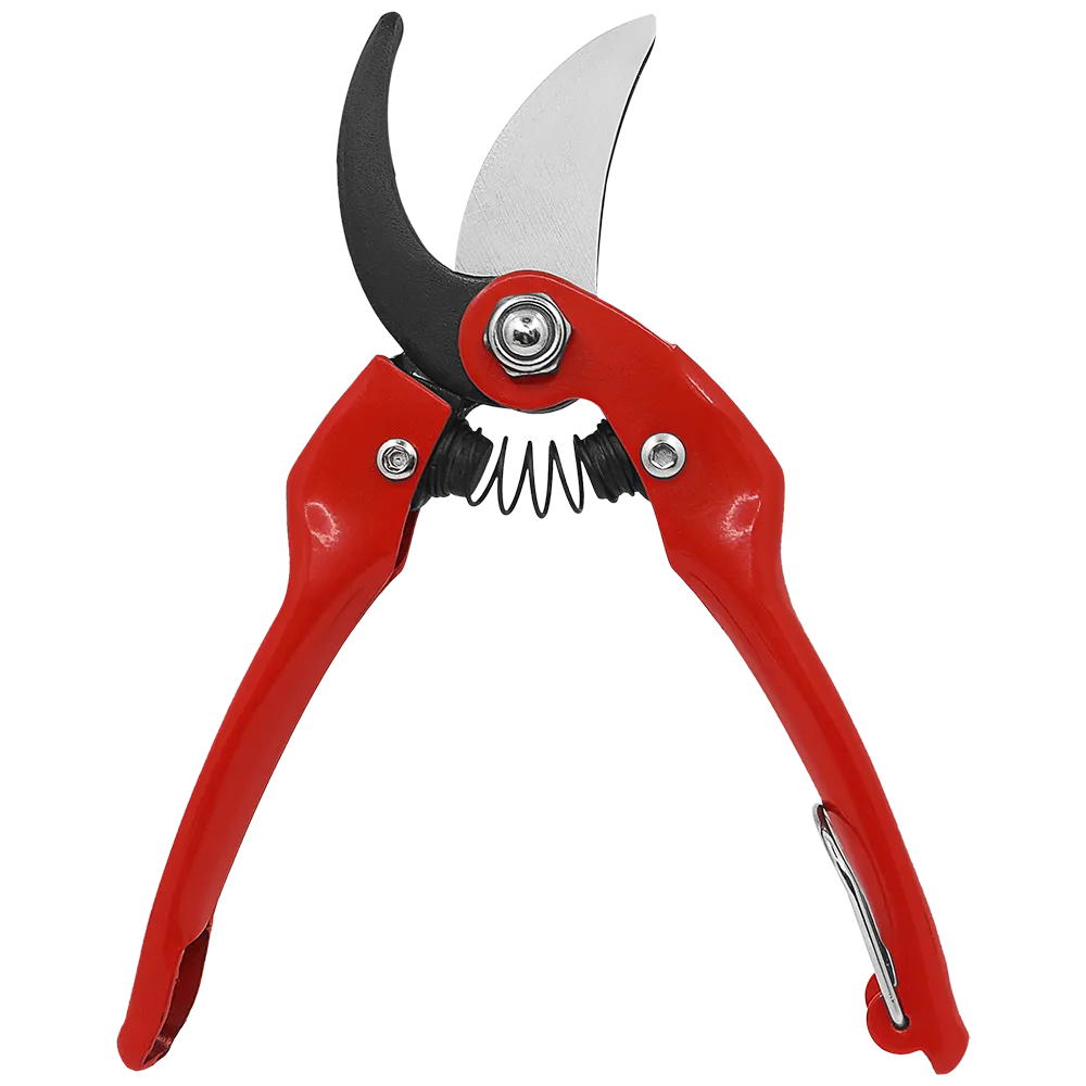 Q64-4-1000px-1.webp