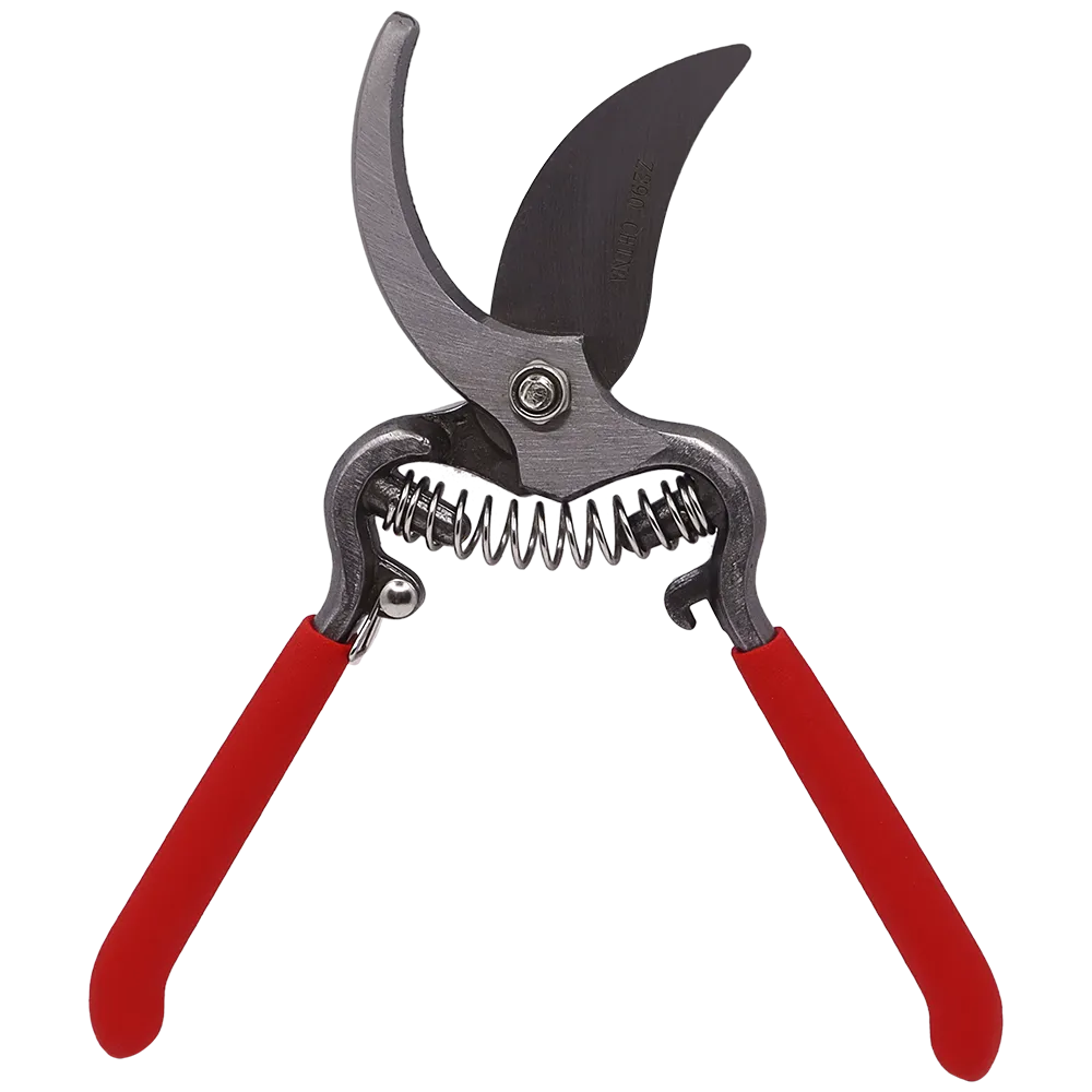 Z290-3-1000px.webp