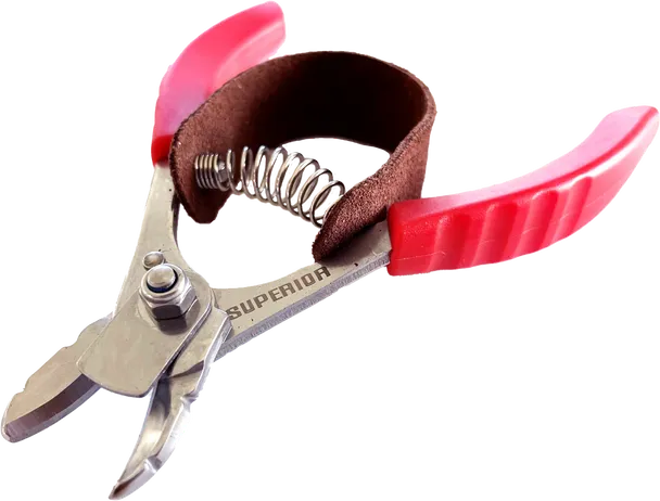Superior Stainless Citrus Clipper 4" (Each)
